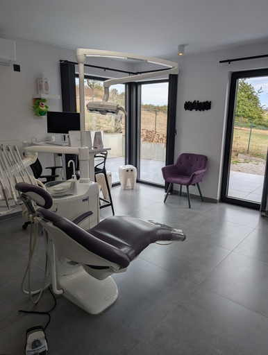 Urgent  ! Cherche dentiste ou stagiaire en dentisterie .
