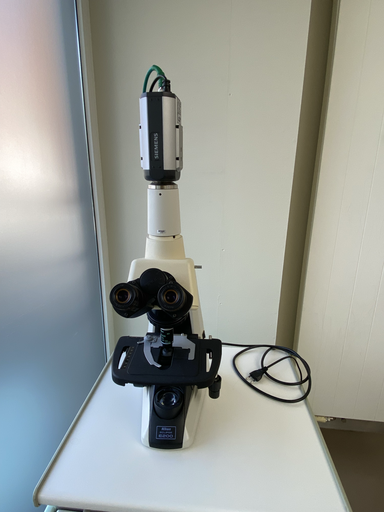 Petit matériel dentaire à vendre (microscope, STA the Wand…)
