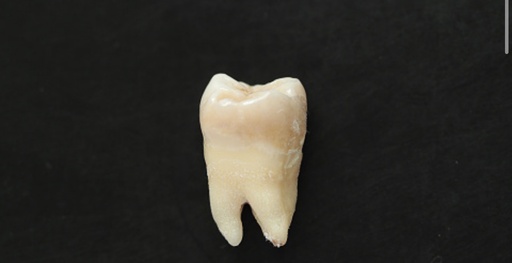 Dentiste generaliste disponible 3jours semaine remplacement