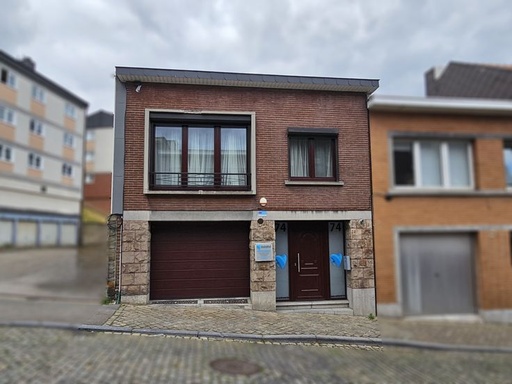 Maison unifamilliale avec RDC professionnel