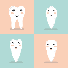 Cabinet Bruxelles recherche dentiste generaliste