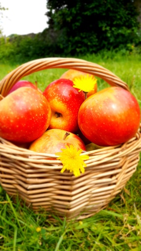 cherche dentiste généraliste expérimenté 