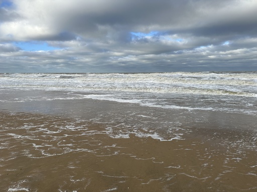 Dentiste cherche emploi 