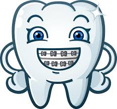 Orthodontiste en formation cherche collaboration 