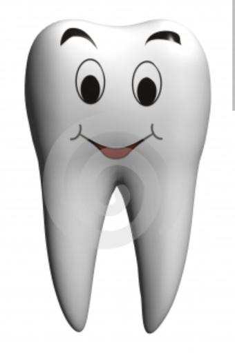 Recherche dentiste généraliste sur Bruxelles