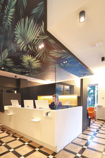 Dentiste généraliste 